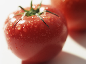 tomato.jpg